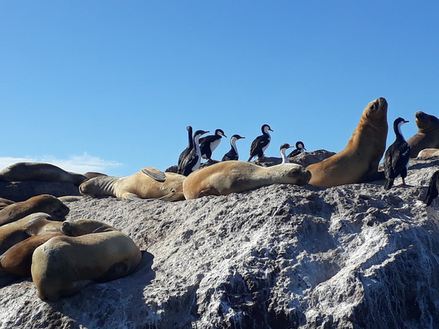 Ria Deseado Navigation (4).jpg