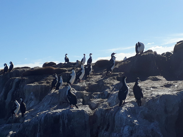 Ria Deseado Navigation (3).jpg